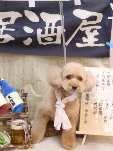 20240620モンチちゃん